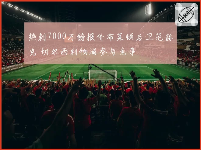热刺7000万镑报价布莱顿后卫范赫克 切尔西利物浦参与竞争