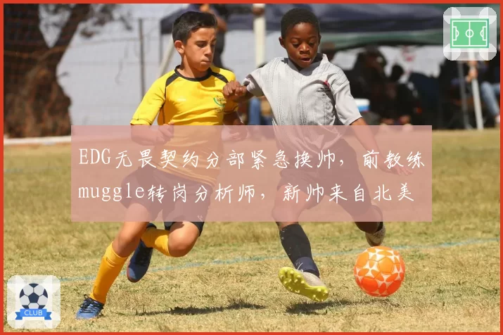 EDG无畏契约分部紧急换帅,前教练muggle转岗分析师,新帅来自北美赛区引质疑