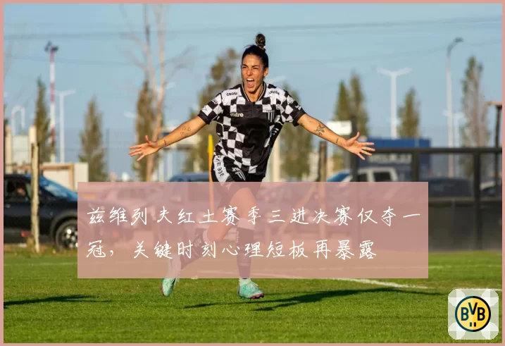 兹维列夫红土赛季三进决赛仅夺一冠,关键时刻心理短板再暴露