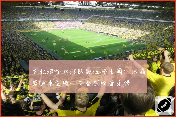 东北超哈尔滨队徽惊艳出圈:冰晶蓝映冰雪魂,丁香紫绘音乐情