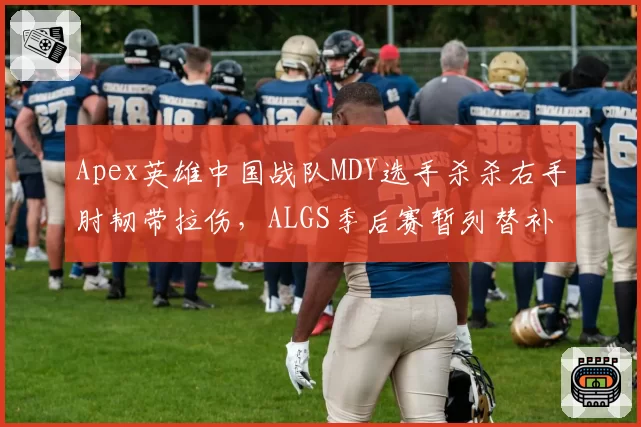 Apex英雄中国战队MDY选手杀杀右手肘韧带拉伤，ALGS季后赛暂列替补席