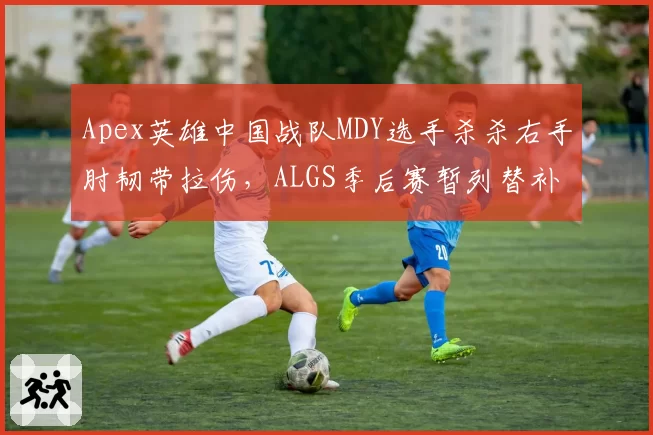 Apex英雄中国战队MDY选手杀杀右手肘韧带拉伤，ALGS季后赛暂列替补席